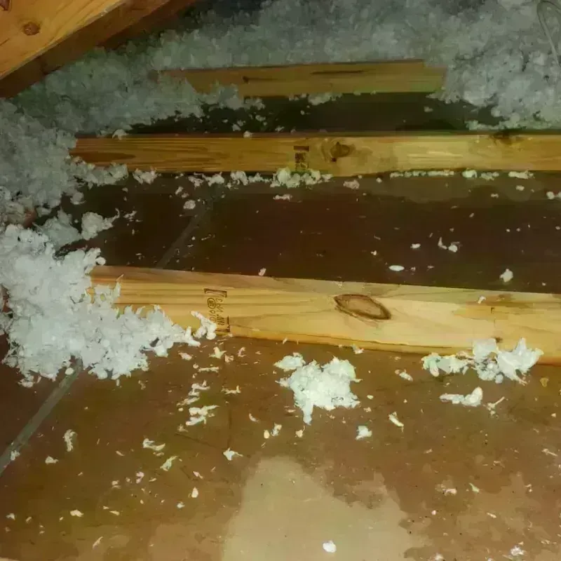 Attic Water Damage in Medina, OH