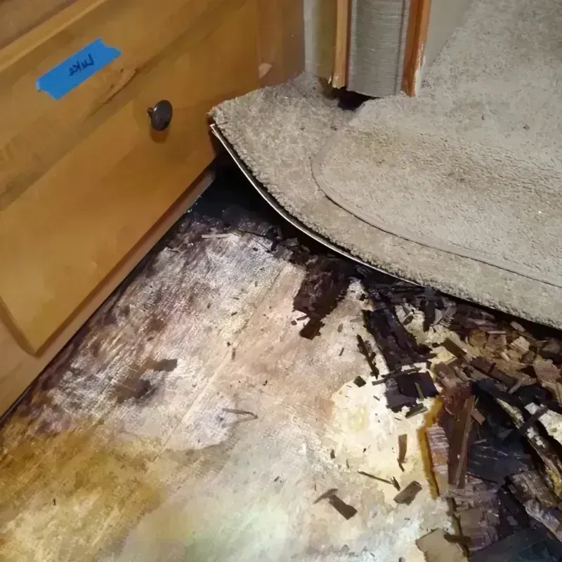 Wood Floor Water Damage in Medina, OH